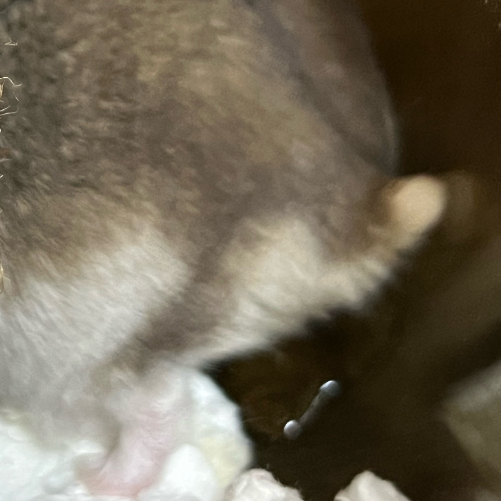 顔出しNGちゃんのタイムライン643689-08-01 02:10:57投稿画像