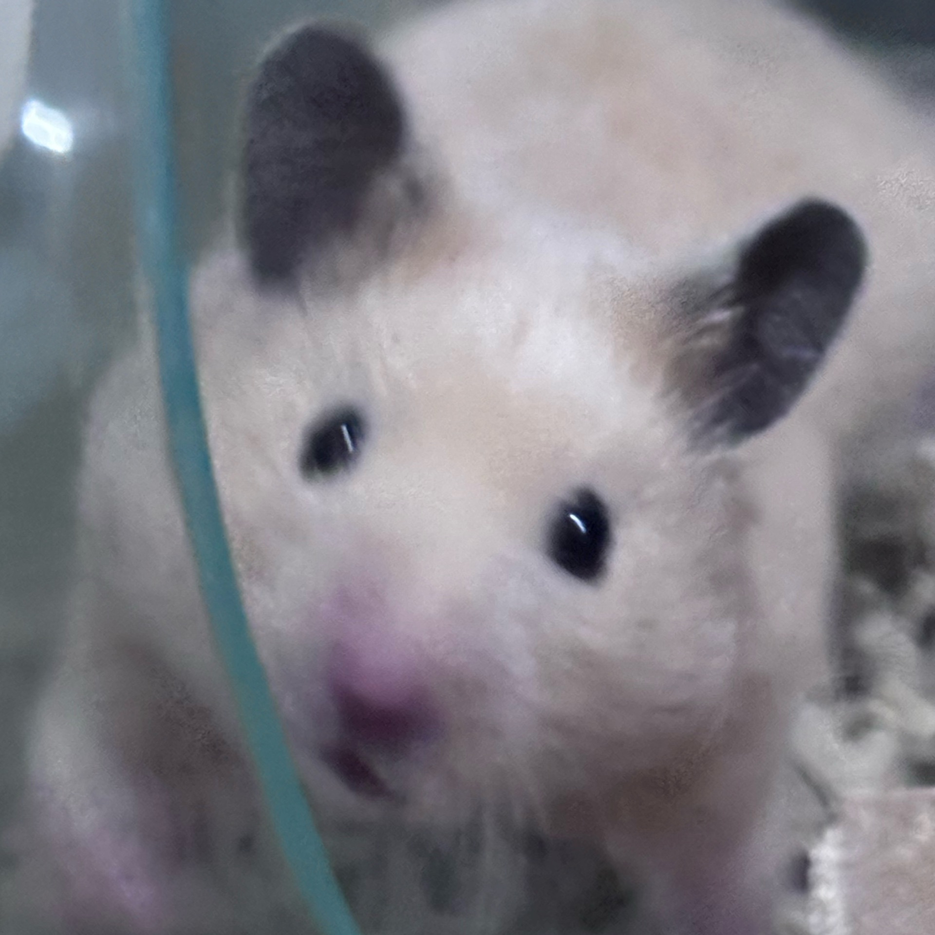 Reinaのタイムライン643693-01-01 09:18:40投稿画像