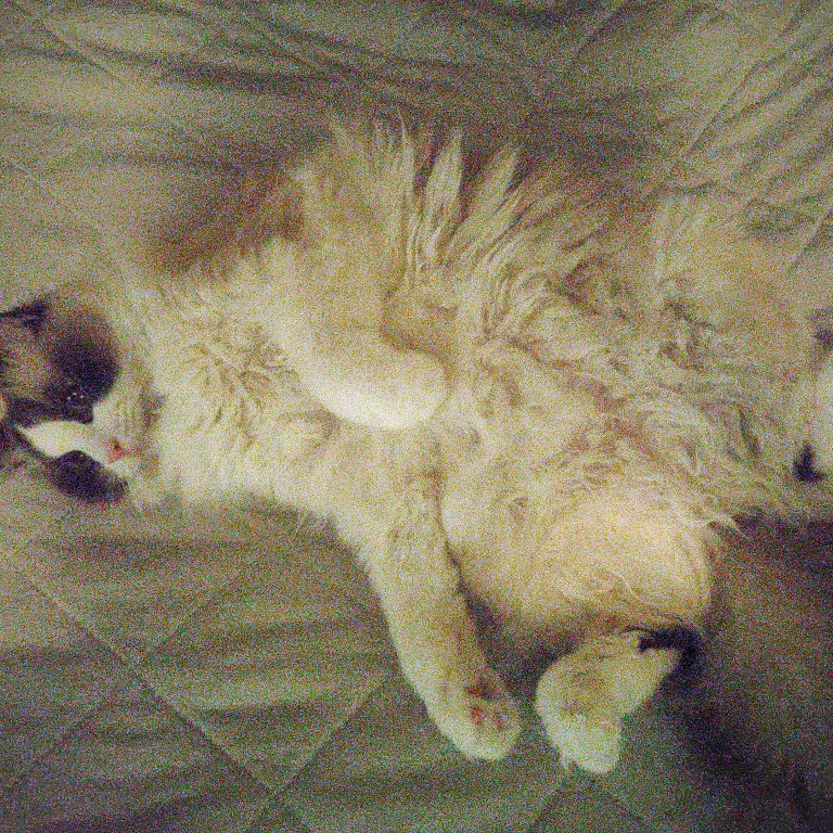 グミのタイムライン643693-01-13 22:20:30投稿画像