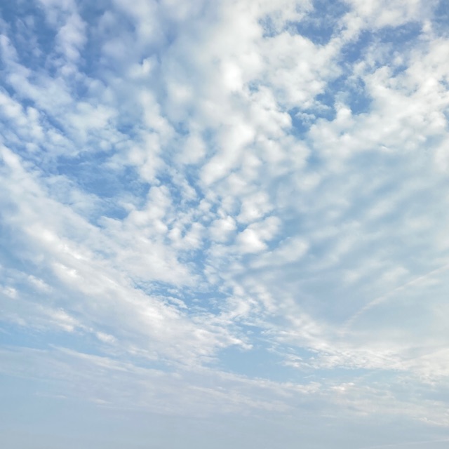 えなのタイムライン643693-04-17 19:28:34投稿画像