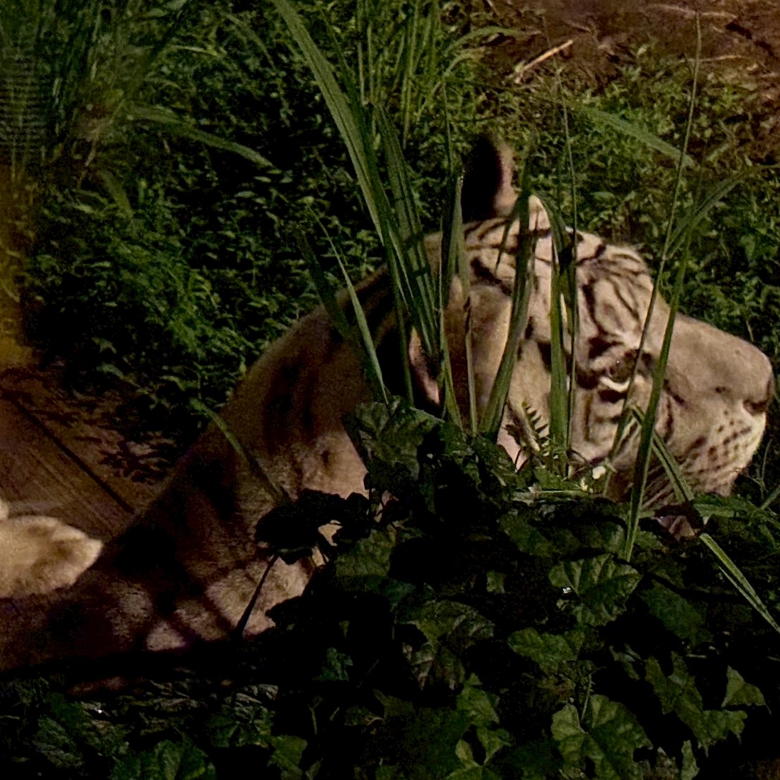 ゆあのタイムライン643695-07-18 02:03:47投稿画像