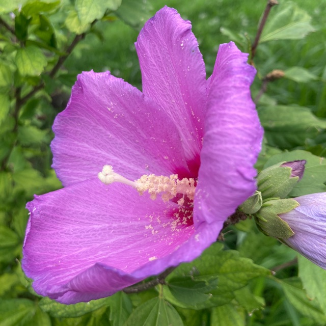 えなのタイムライン643695-12-25 09:20:08投稿画像