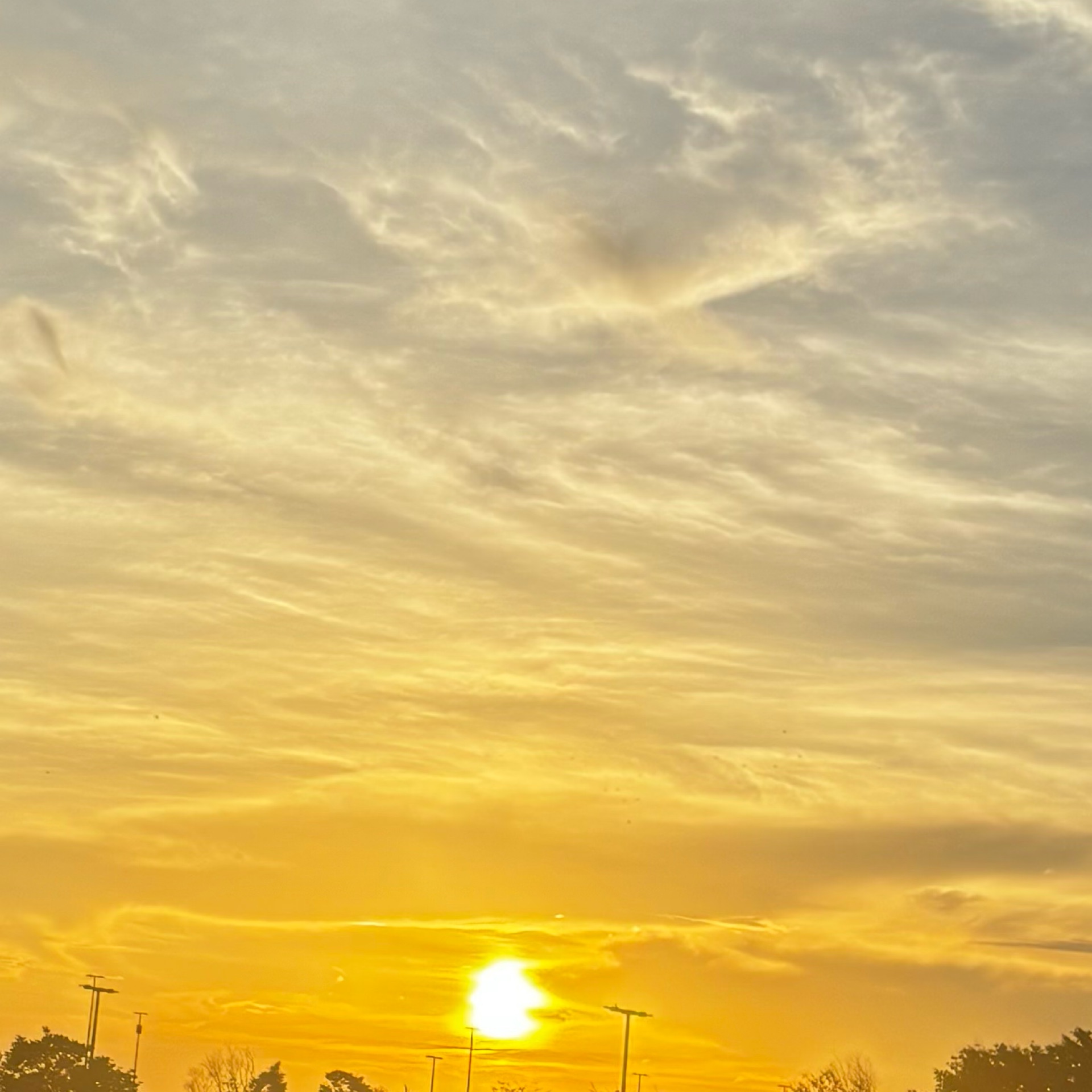 まりりんのタイムライン643695-12-25 09:25:09投稿画像