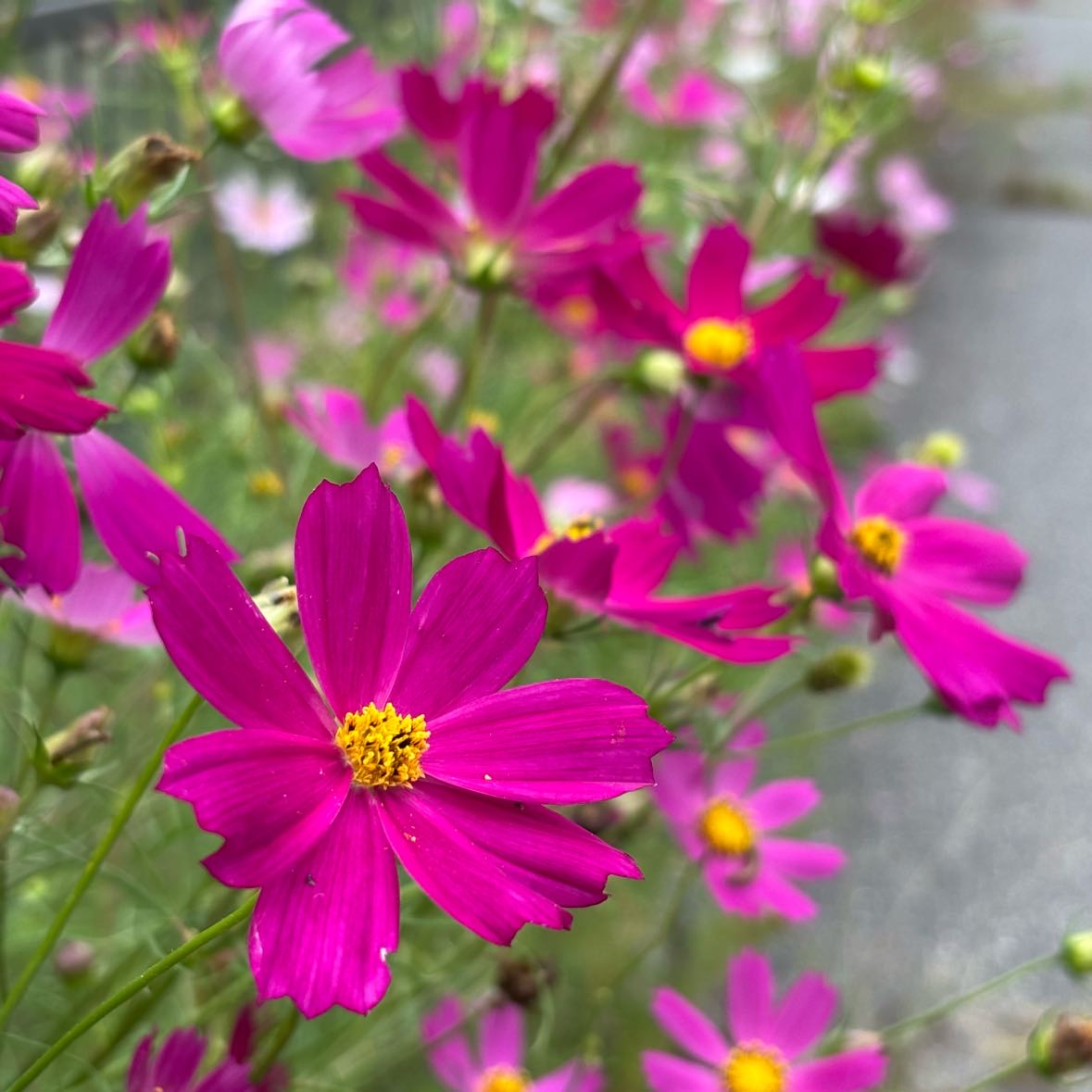 もか☆のタイムライン643696-02-22 04:16:55投稿画像