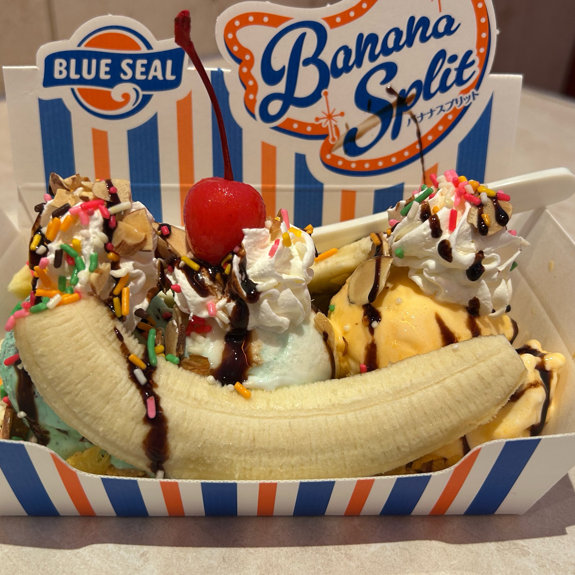 ココアのタイムライン643696-03-04 14:37:18投稿画像