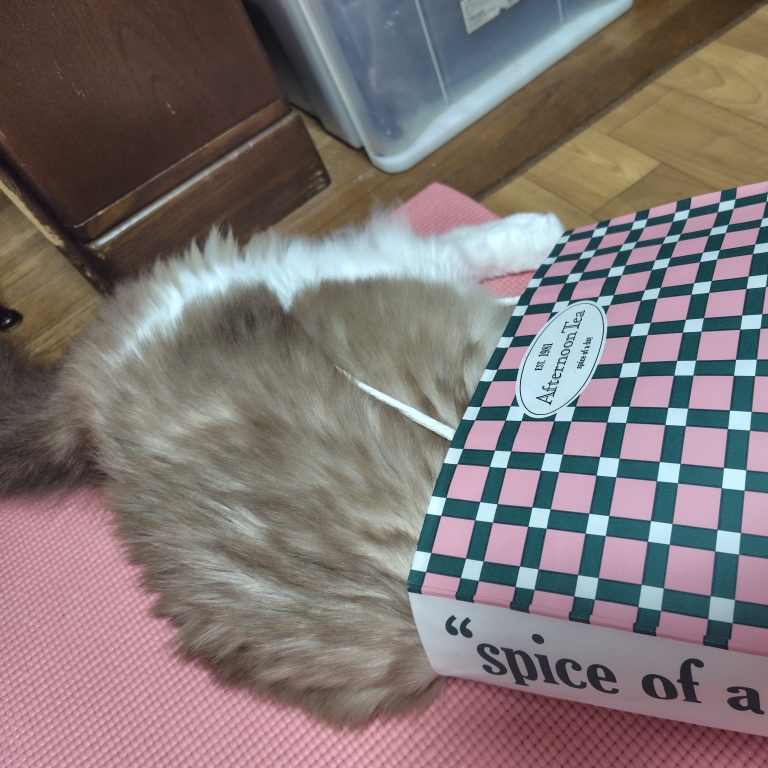 グミのタイムライン643696-05-13 12:43:31投稿画像