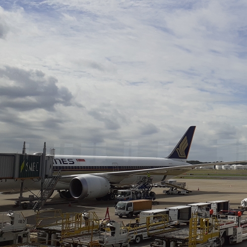 きこのタイムライン643698-11-12 12:32:36投稿画像