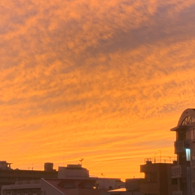 わこ(わーこ)のタイムライン643698-11-25 20:04:11投稿画像