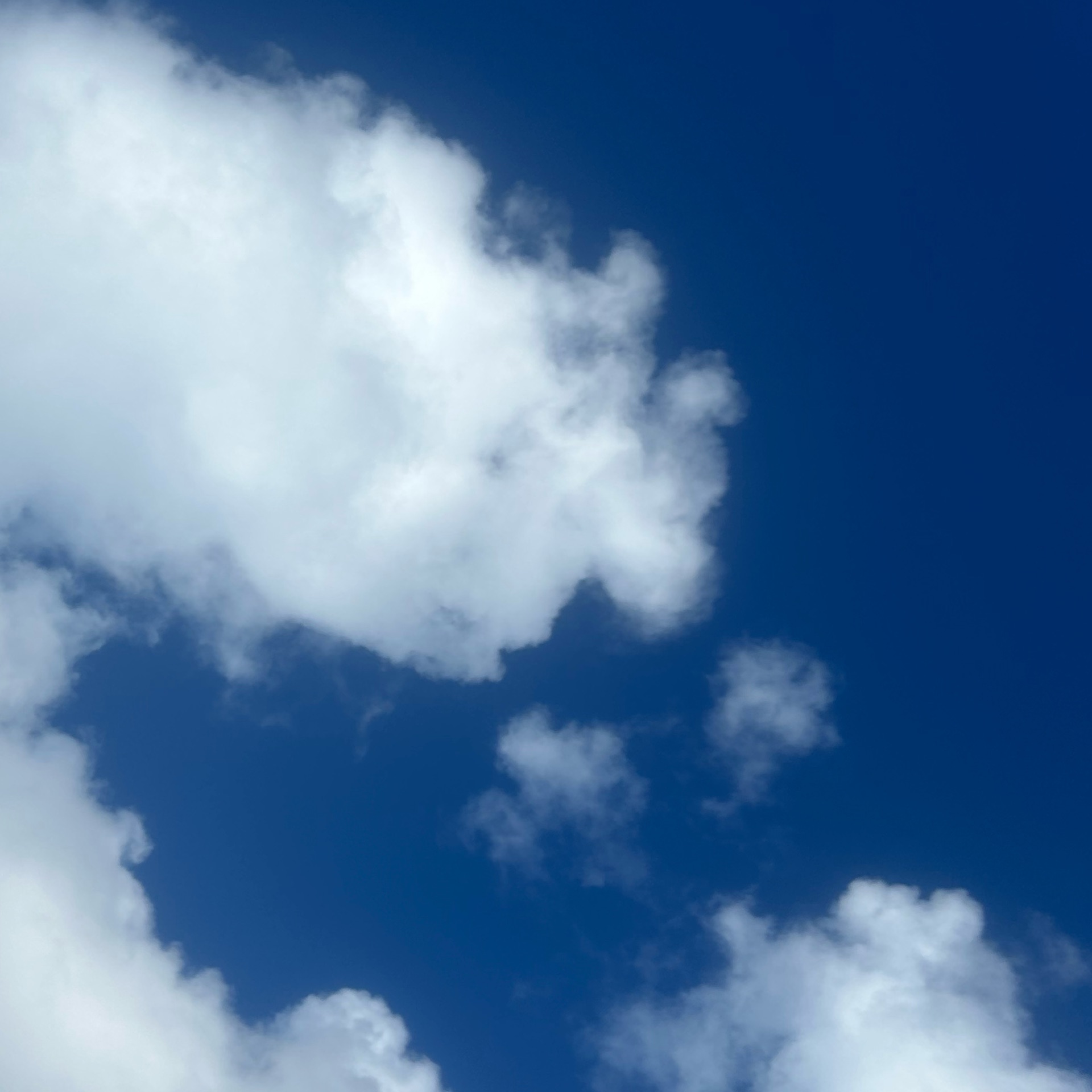 ココアのタイムライン643698-12-06 13:50:05投稿画像