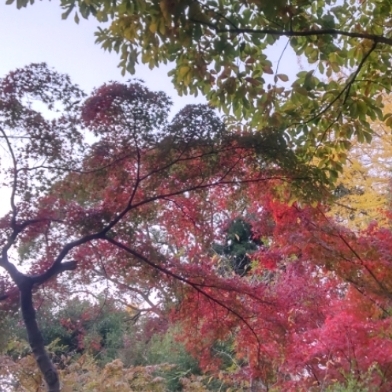 あにのタイムライン643699-06-09 07:58:51投稿画像