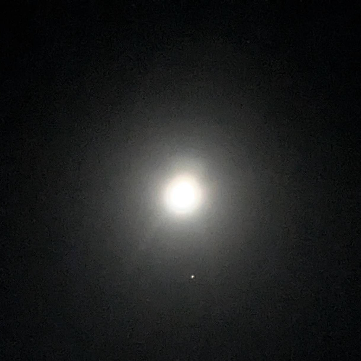 ゆりかのタイムライン643701-11-18 12:23:59投稿画像