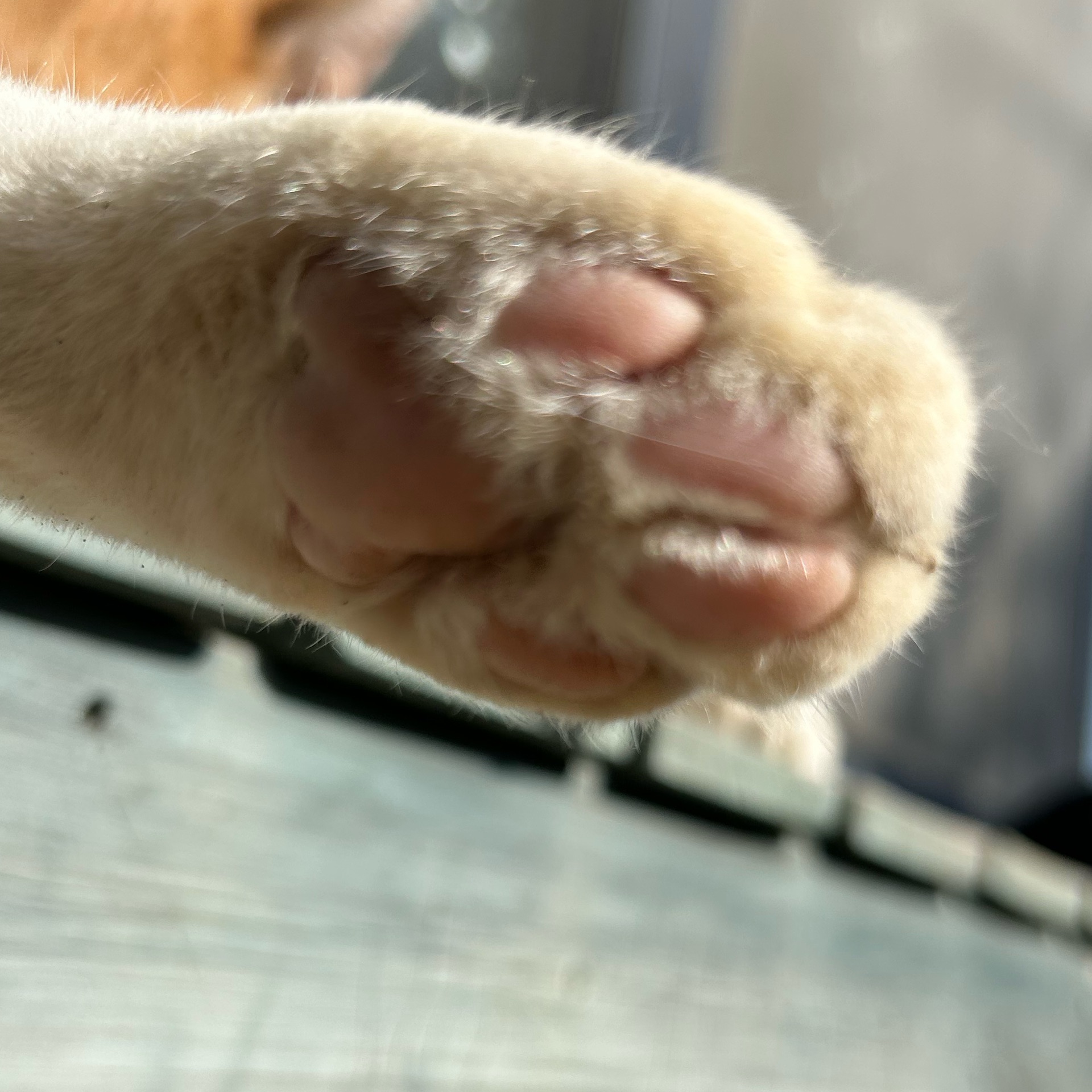 のんのタイムライン643702-04-06 01:44:09投稿画像