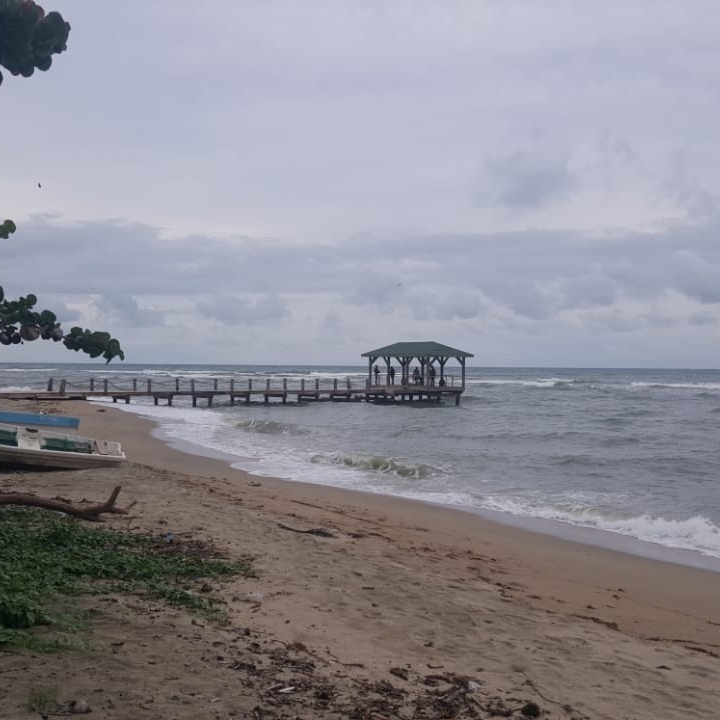 向日葵のタイムライン643702-05-23 18:58:41投稿画像