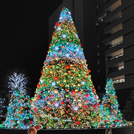 グミのタイムライン643702-07-19 13:42:02投稿画像