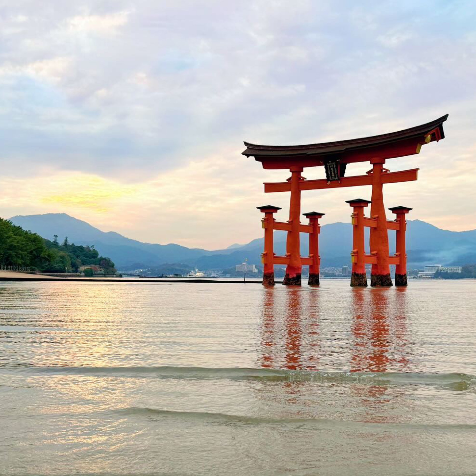 美桜のタイムライン2025-11-26 11:29:20投稿画像