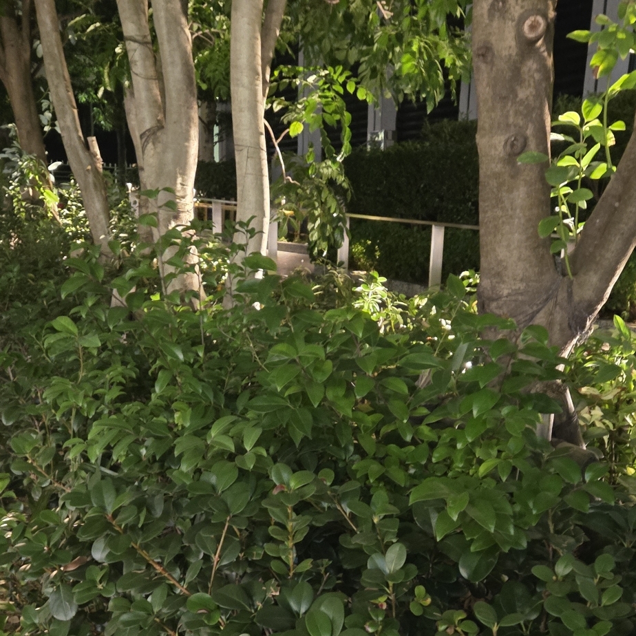 りりのタイムライン643702-10-08 16:49:14投稿画像