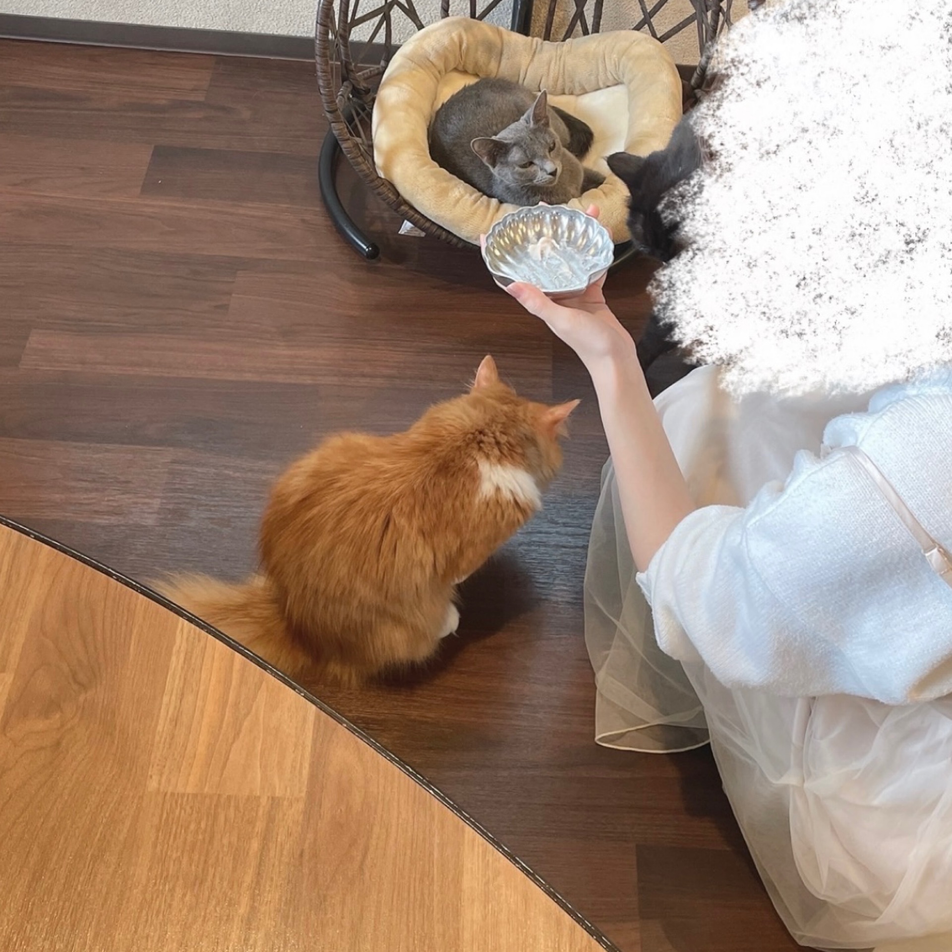 ゆゆのタイムライン2025-12-02 09:24:46投稿画像