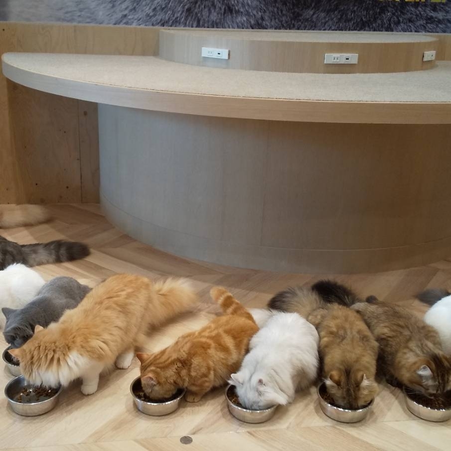 ゆりかのタイムライン643705-02-10 03:40:36投稿画像