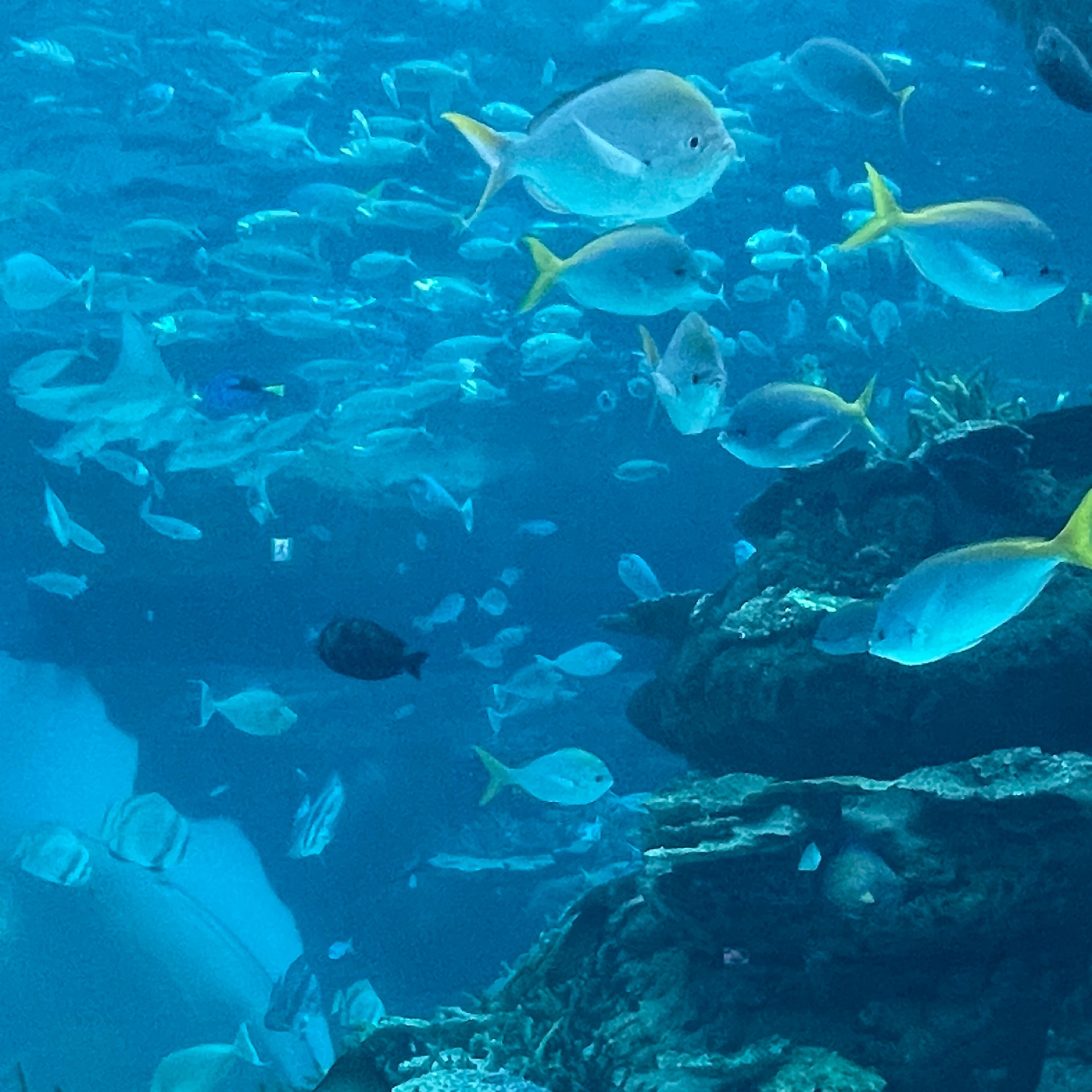 みくのタイムライン2025-12-12 04:40:00投稿画像