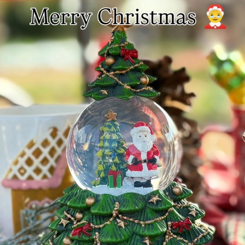 あやのタイムライン643705-09-29 10:05:43投稿画像