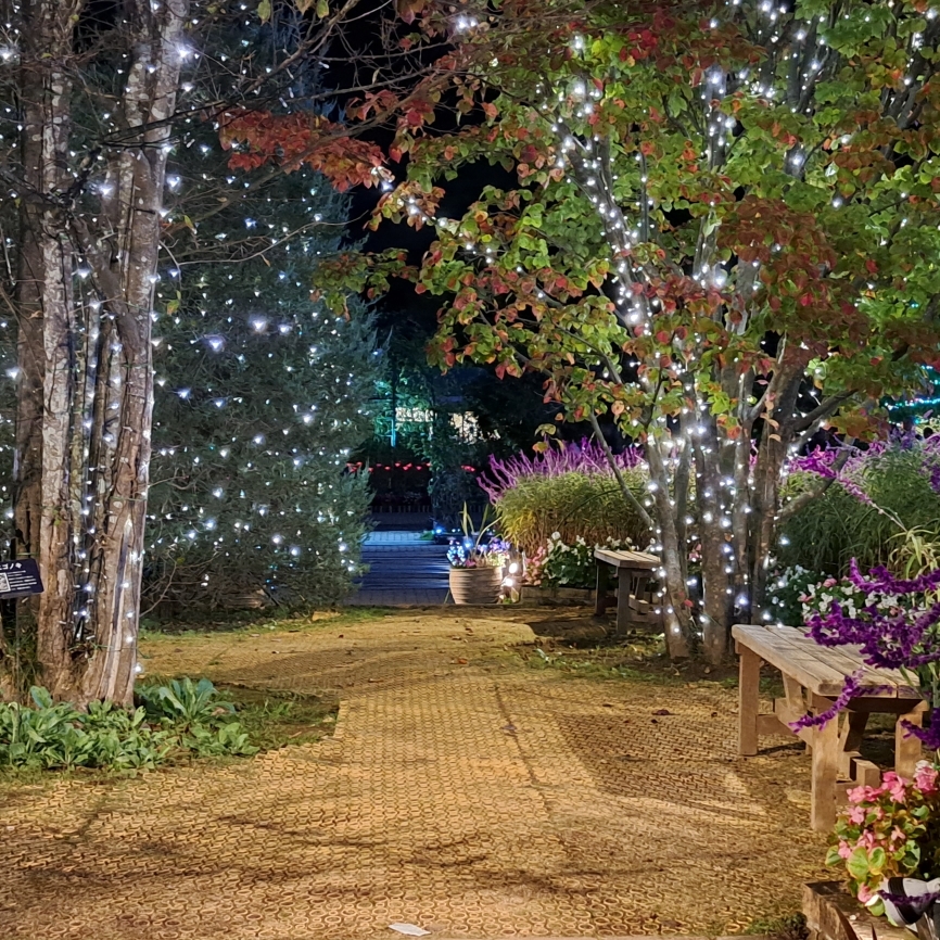 るなのタイムライン643705-09-30 08:57:13投稿画像