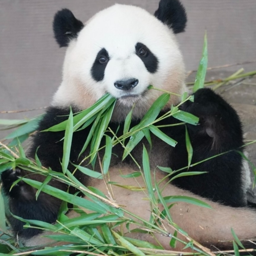 あやのタイムライン2025-12-30 21:43:11投稿画像