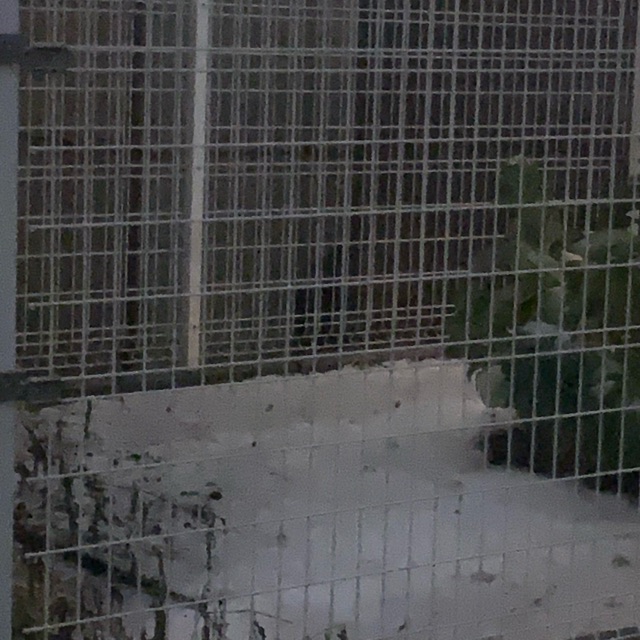 わこ(わーこ)のタイムライン643987-01-29 23:20:54投稿画像