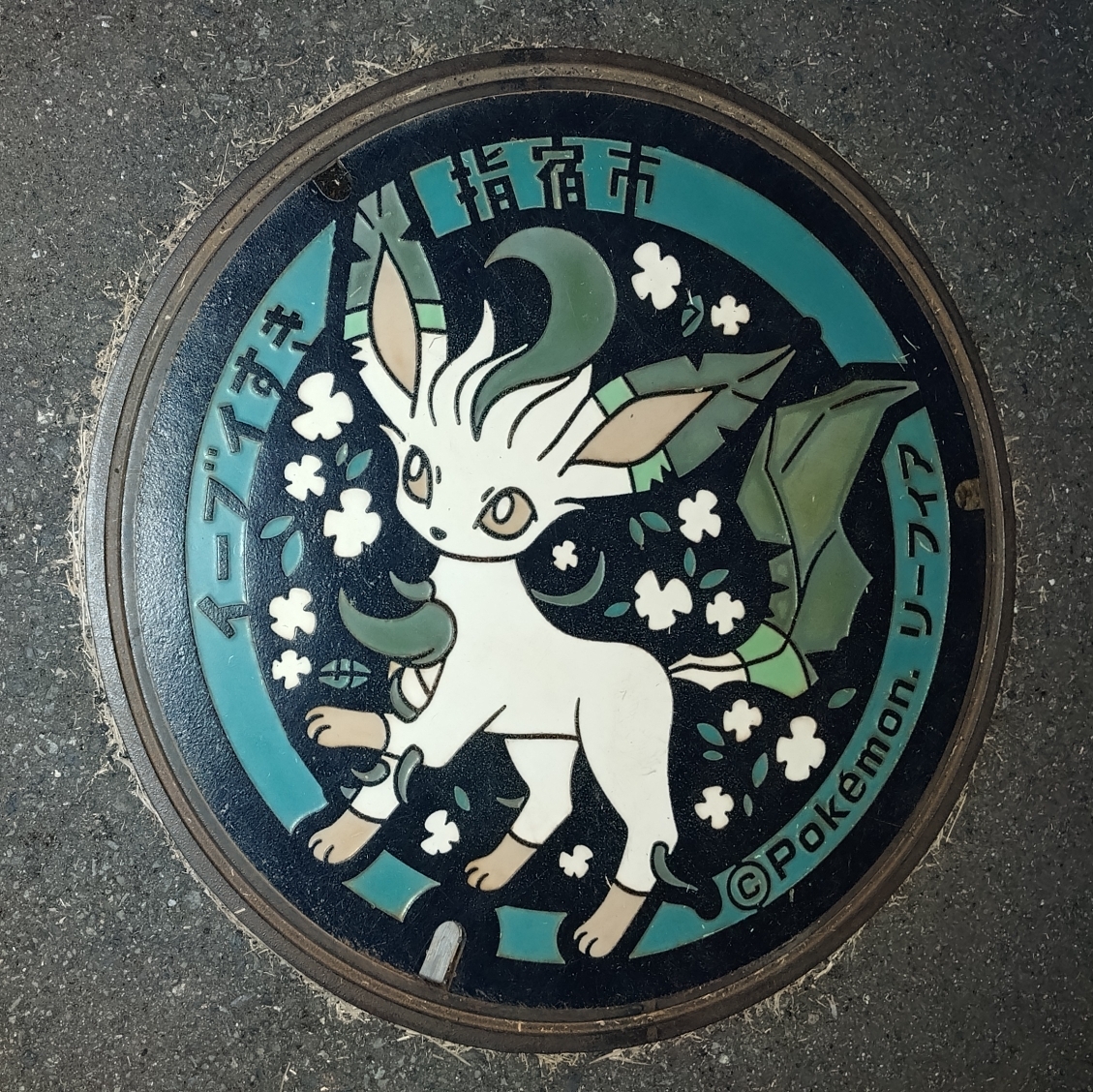 ゆあのタイムライン2026-01-25 08:39:00投稿画像