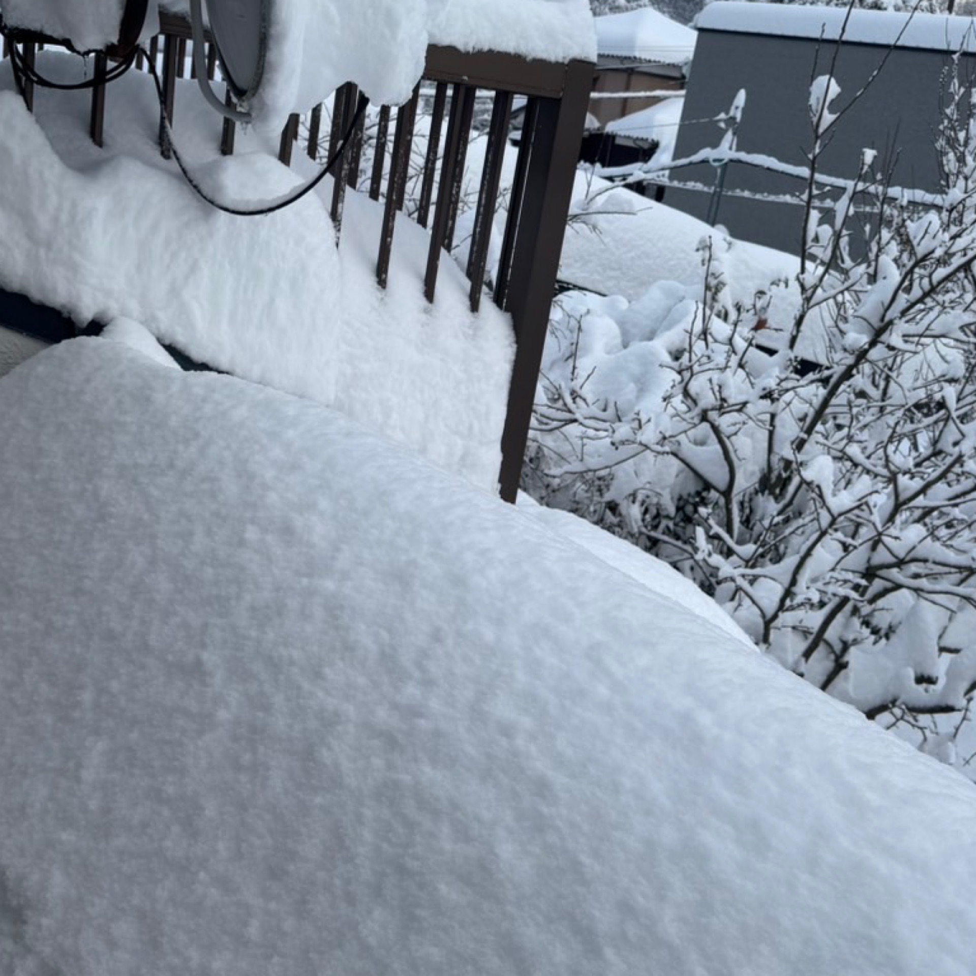 みなみのタイムライン643987-12-19 00:20:22投稿画像