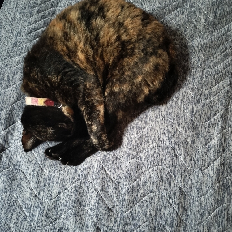 セレナのタイムライン643990-04-12 04:03:27投稿画像