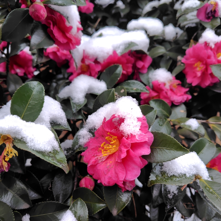 グミのタイムライン643990-07-14 18:48:21投稿画像