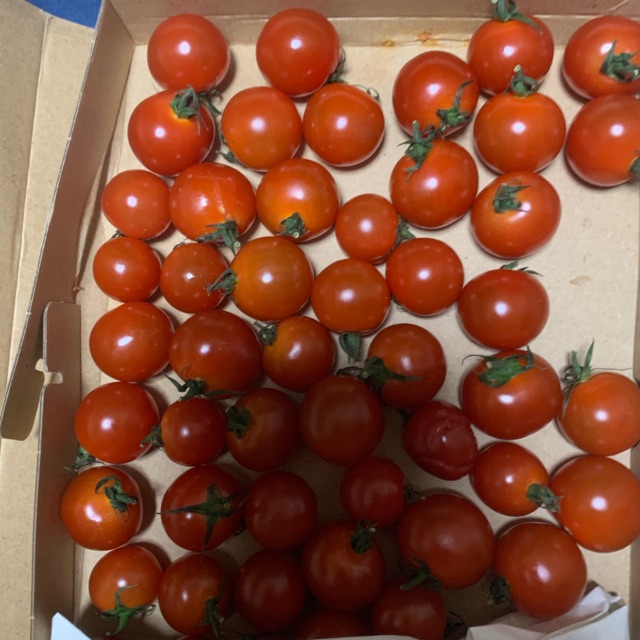 わこ(わーこ)のタイムライン643990-07-26 16:55:20投稿画像