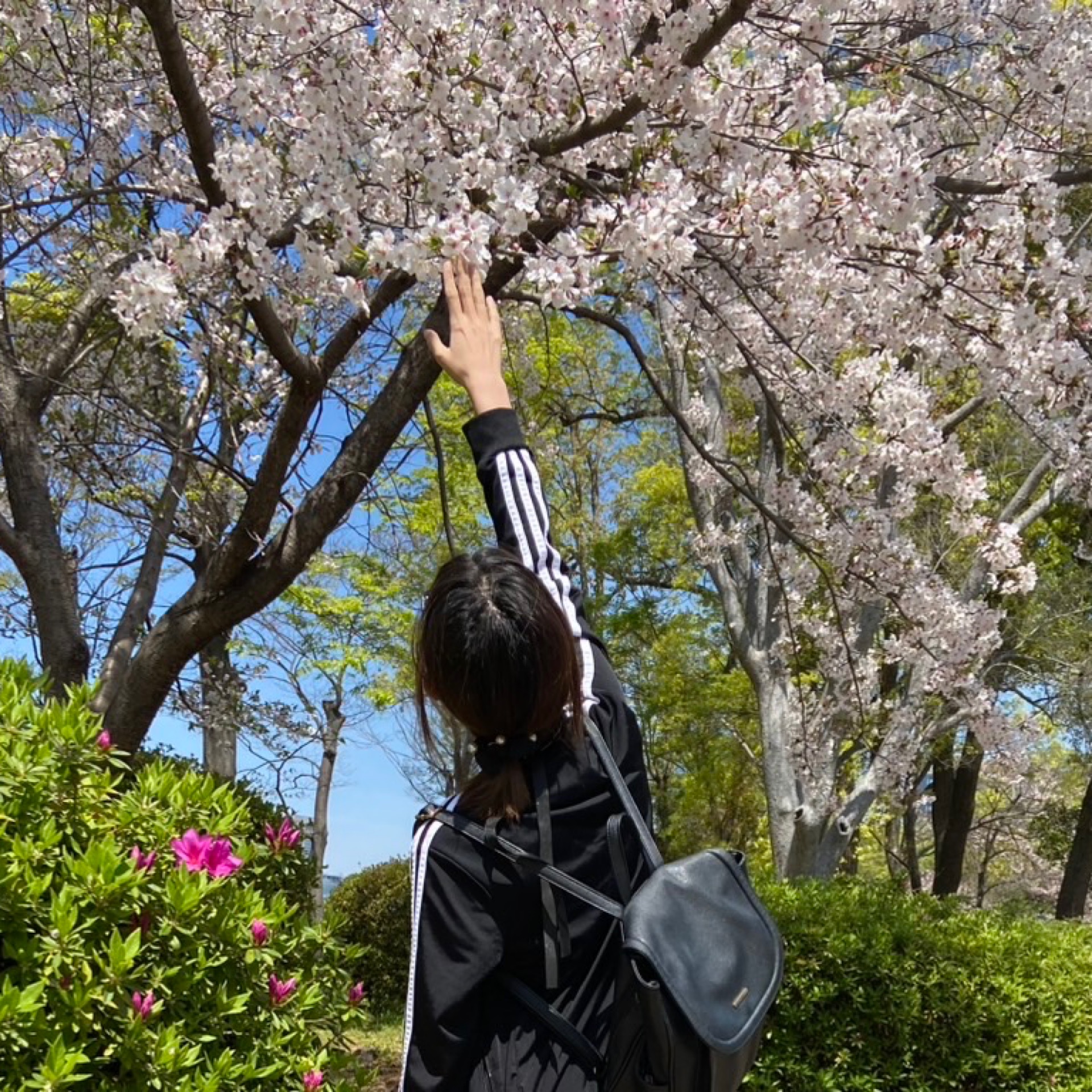 うーのタイムライン2026-02-16 19:23:17投稿画像