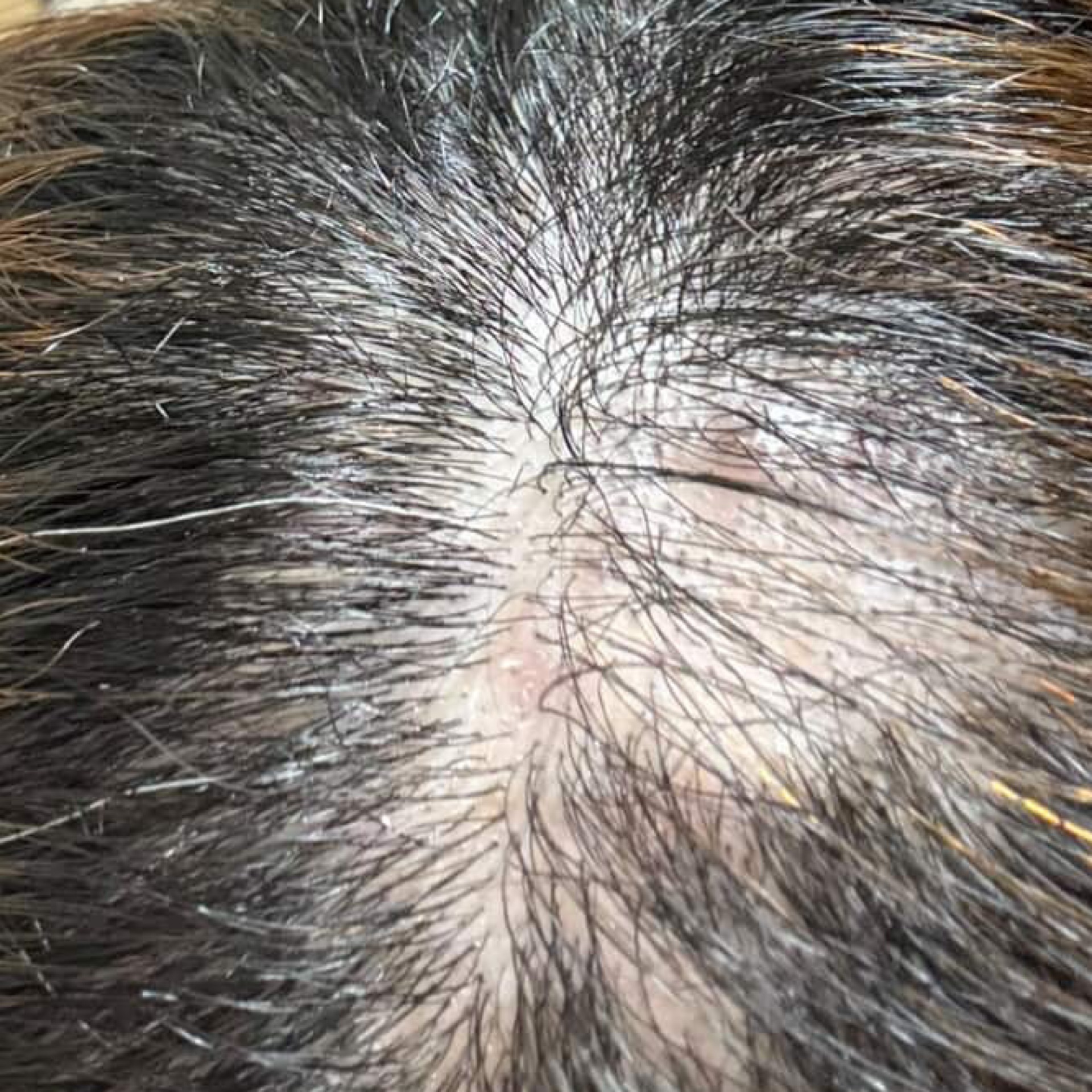 ゆりのタイムライン643990-11-07 12:47:28投稿画像