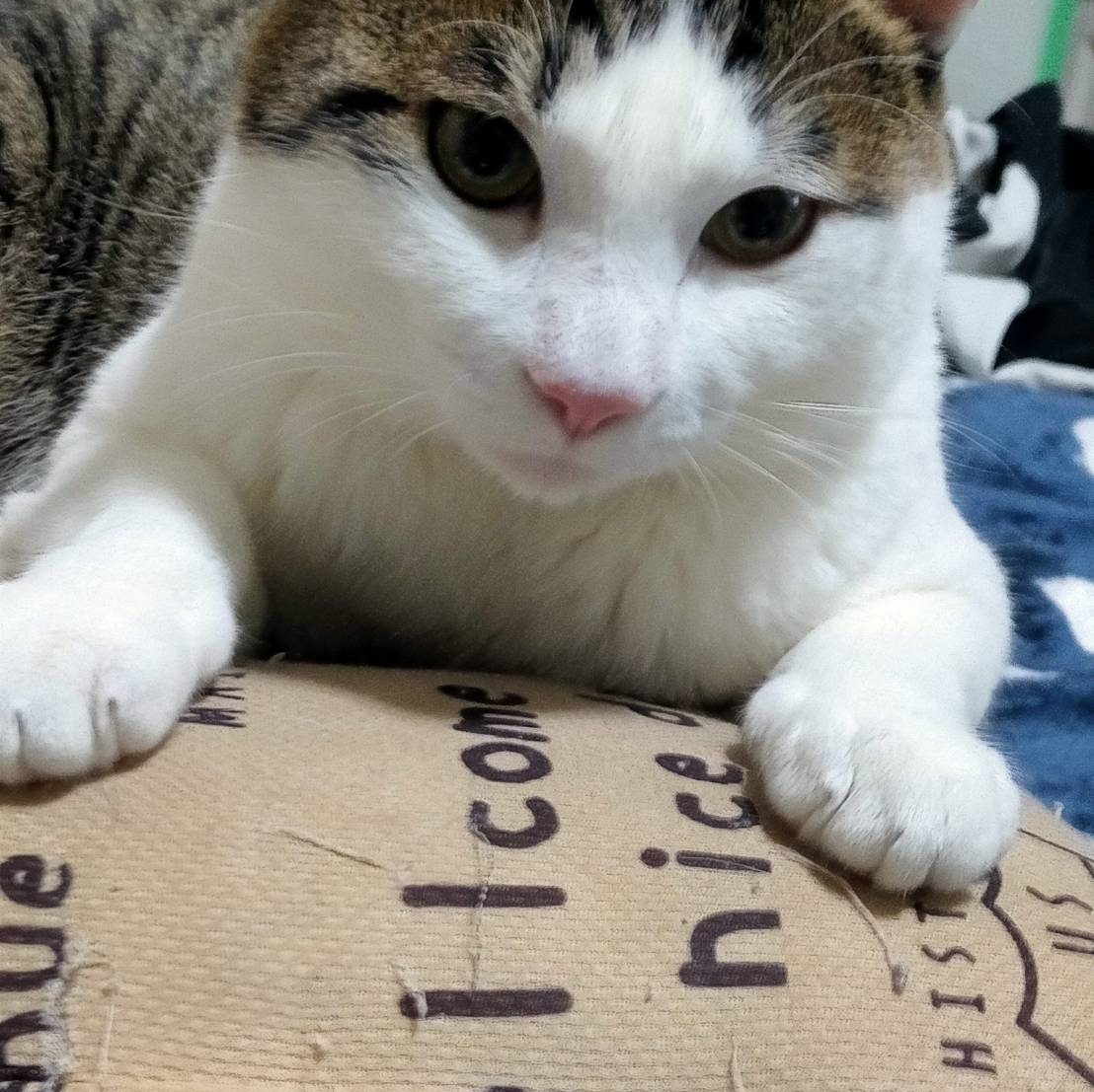 月城ねるのタイムライン643990-11-08 05:42:09投稿画像