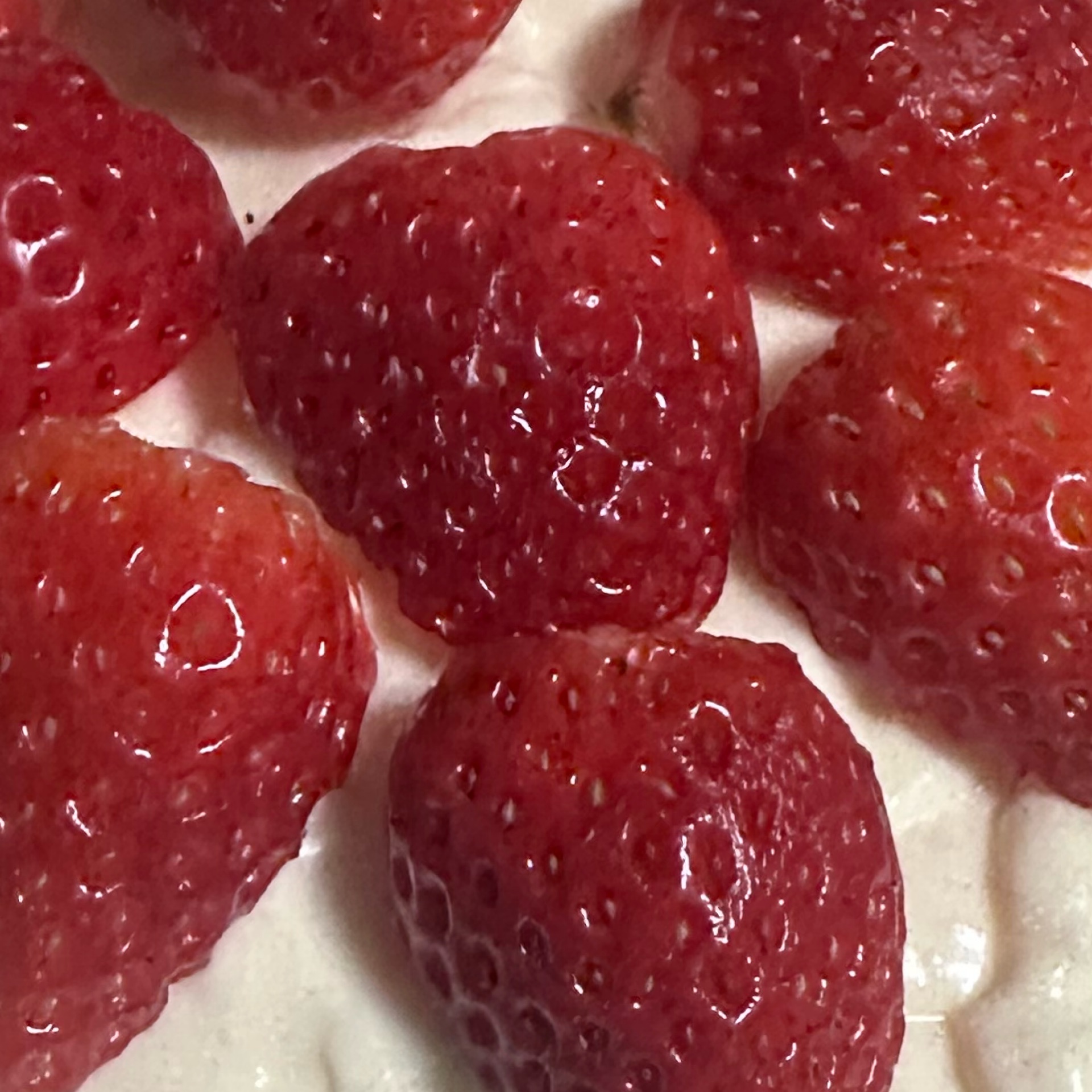 にゃむのタイムライン2026-03-02 11:21:59投稿画像