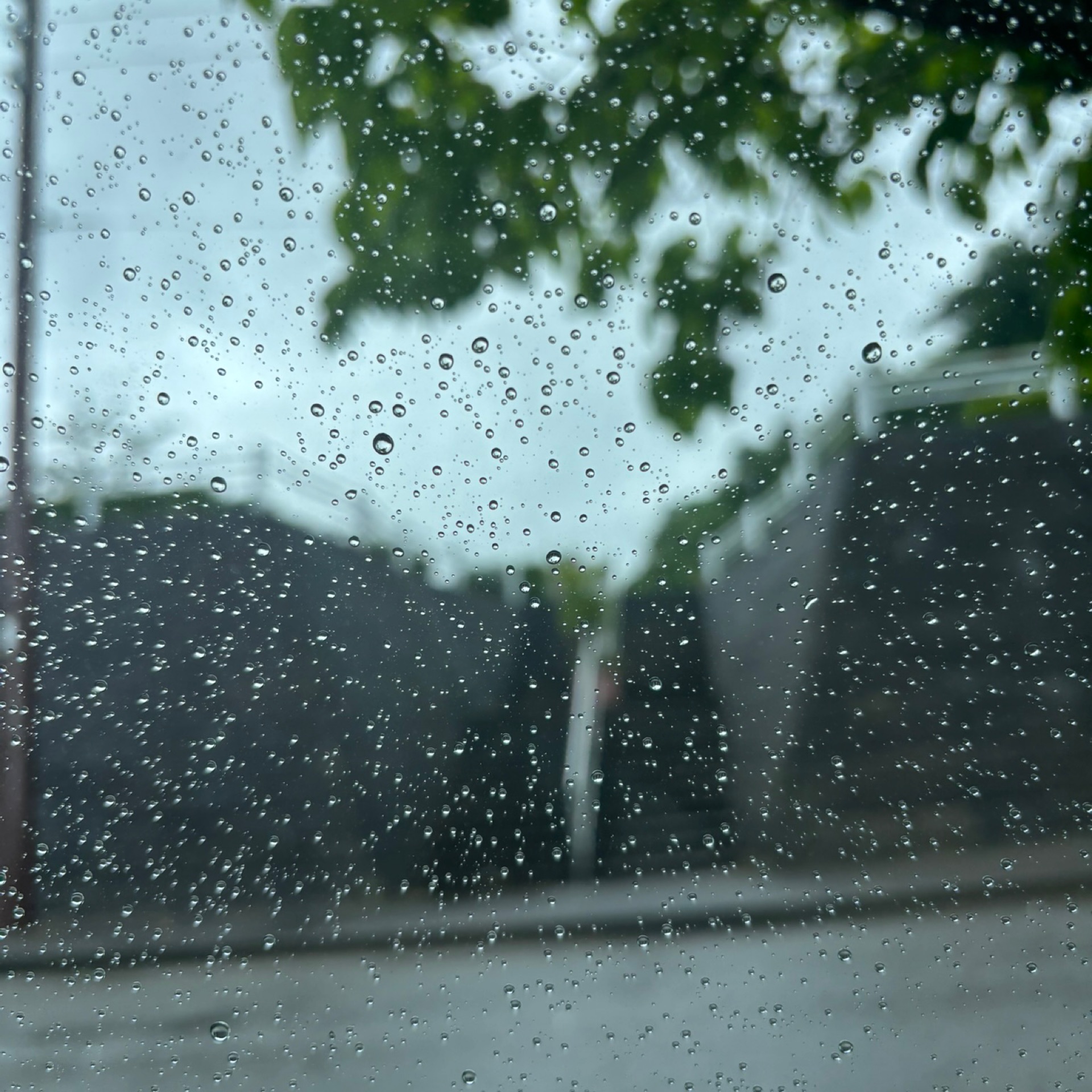 うーのタイムライン2026-03-03 05:31:10投稿画像