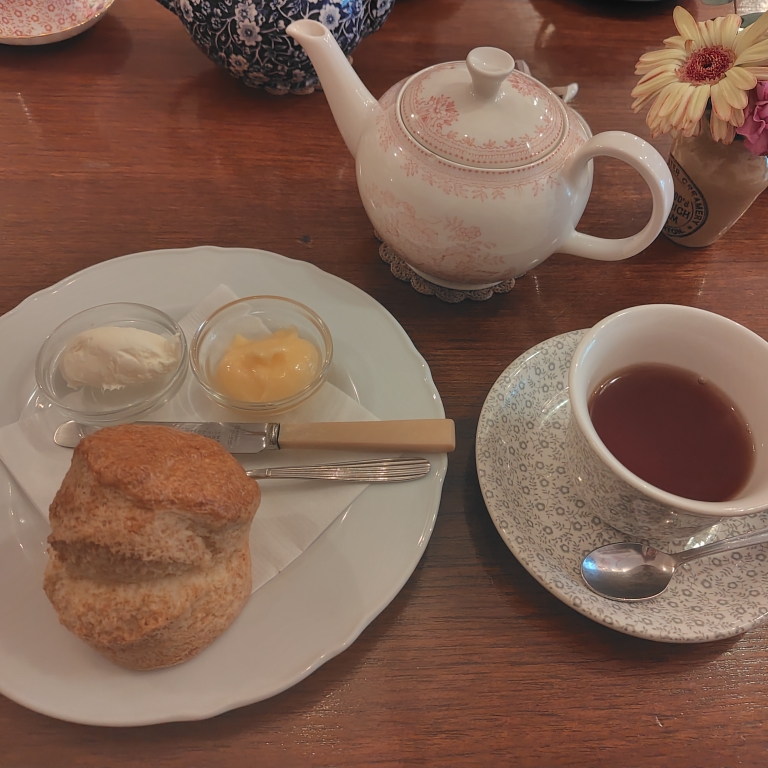 グミのタイムライン2026-03-03 14:24:37投稿画像