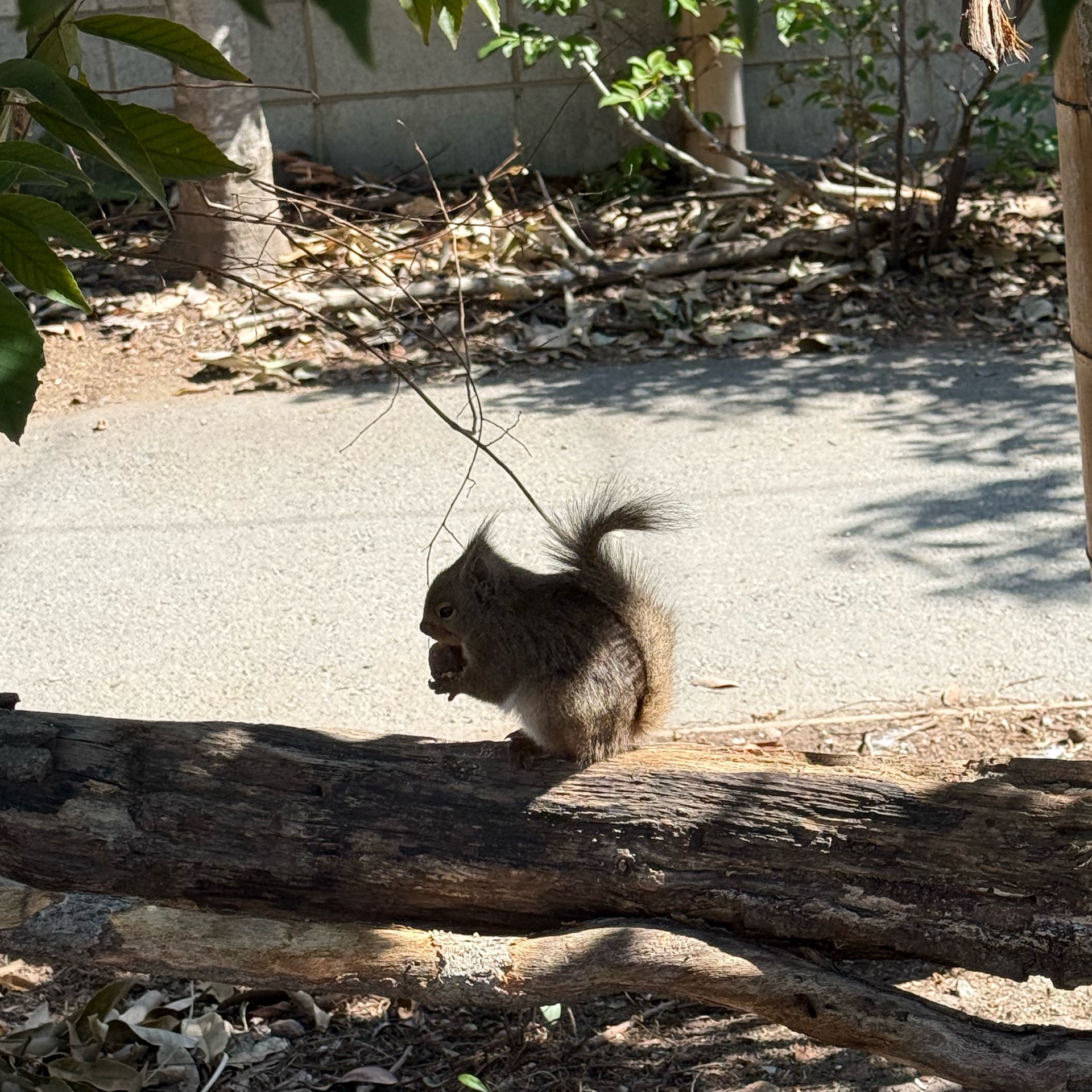 安定の嬢ゆりあのタイムライン643994-01-07 12:00:27投稿画像