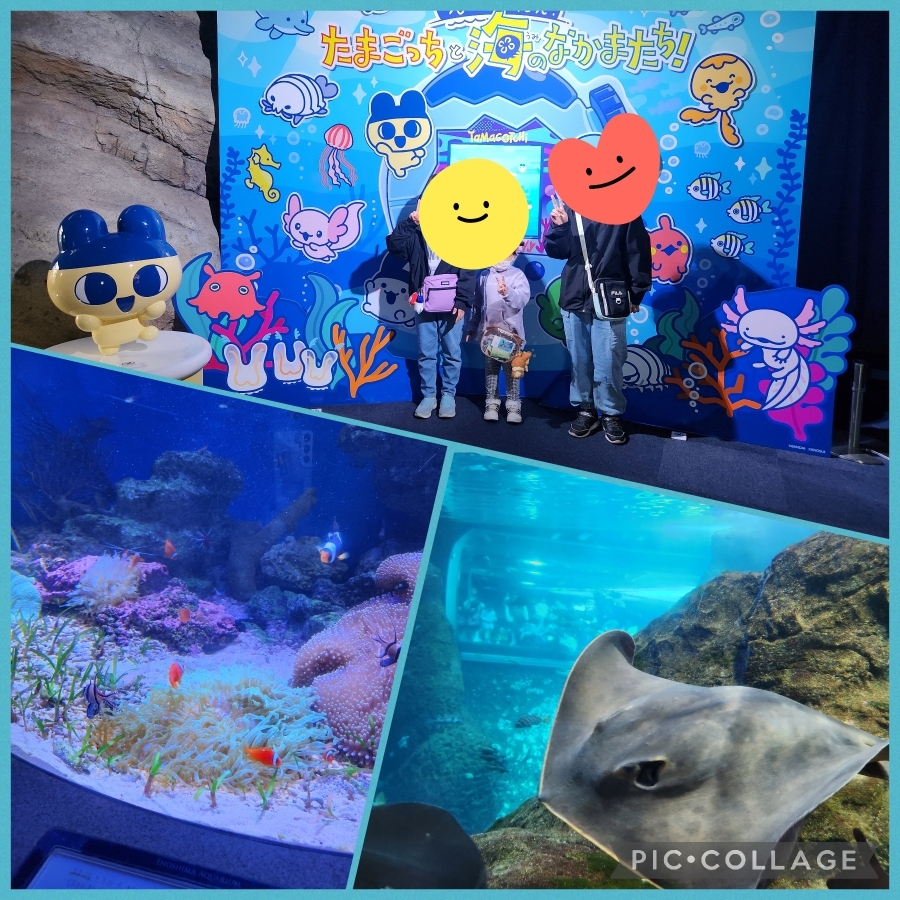 ももこのタイムライン643994-03-28 10:21:40投稿画像