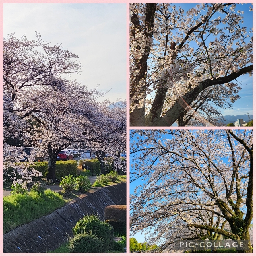 ももこのタイムライン643996-08-14 23:07:16投稿画像