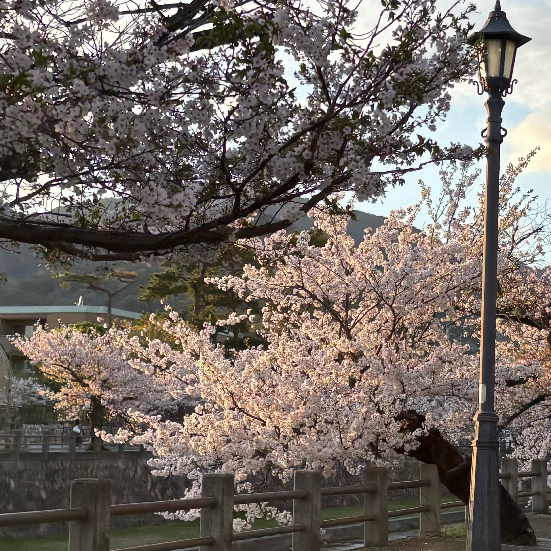 そらのタイムライン643996-09-29 04:56:49投稿画像