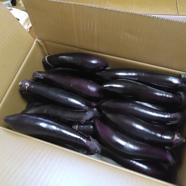 ゆっこのタイムライン643996-10-21 15:09:07投稿画像