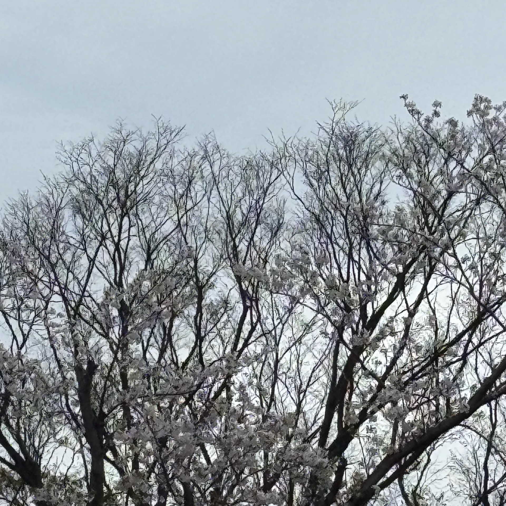 あいりのタイムライン643997-01-21 15:36:41投稿画像