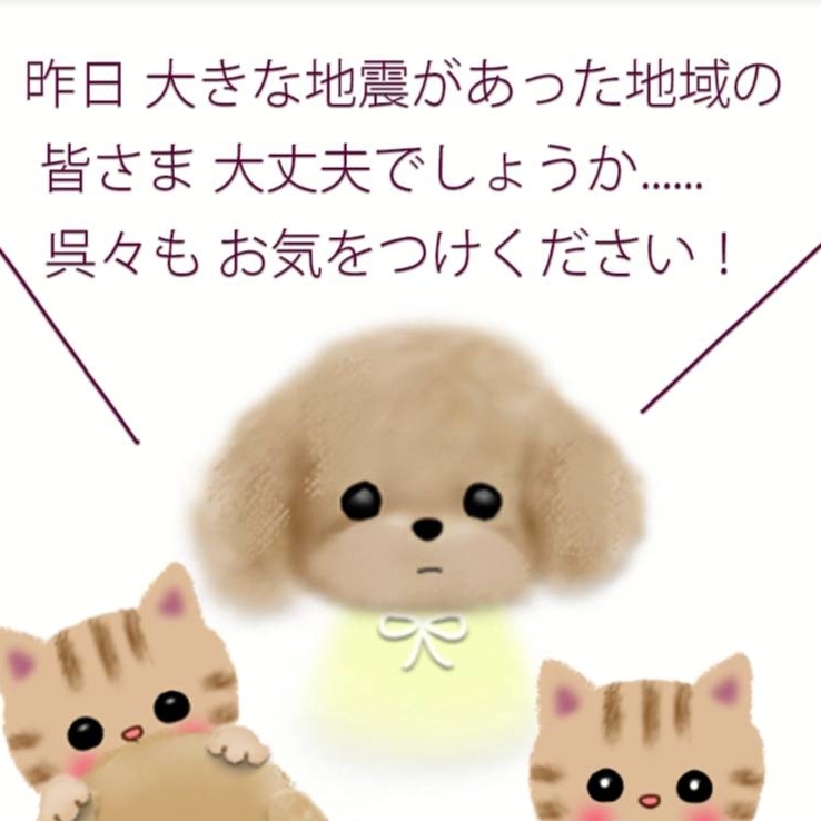 あやのタイムライン2026-04-21 11:23:43投稿画像
